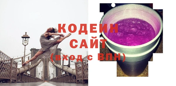 молекула духа Дмитров