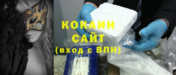 гашик Дмитровск