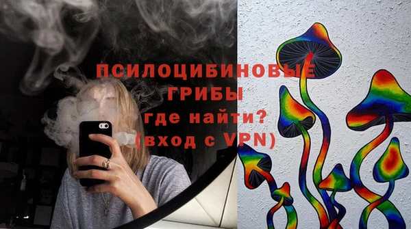 гашик Дмитровск