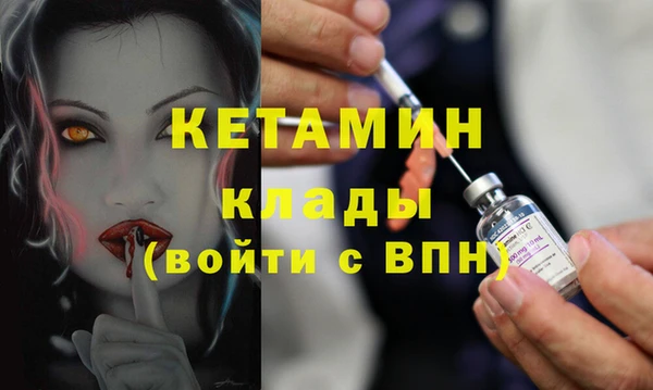 индика Дмитриев