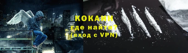 индика Дмитриев