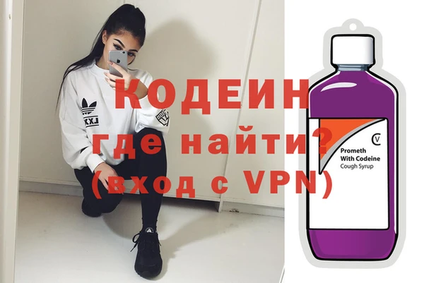 хмурый Елизово