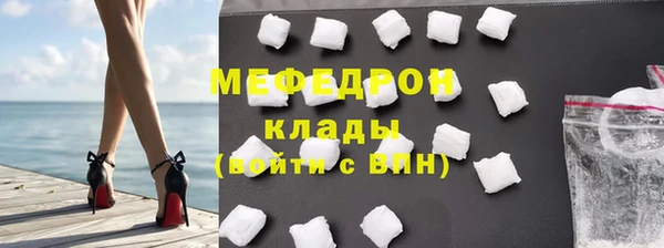 индика Дмитриев