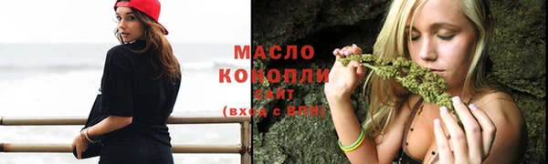 индика Дмитриев