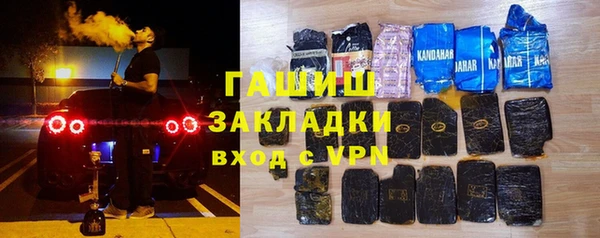 индика Дмитриев