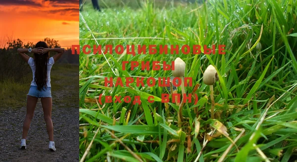 молекула духа Дмитров