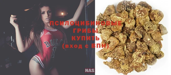 гашик Дмитровск