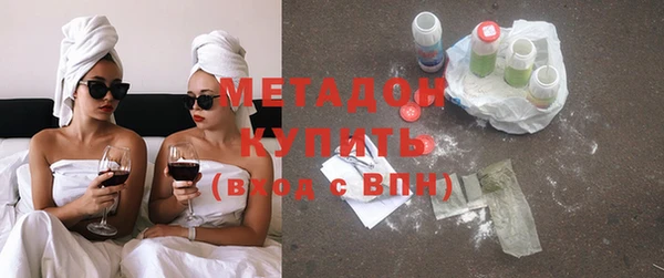 индика Дмитриев