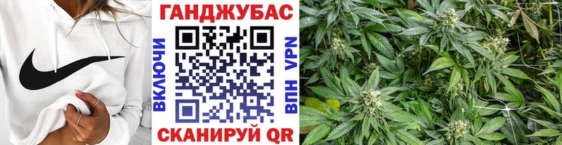 Купить закладки Каменка Шишки марихуана сатива